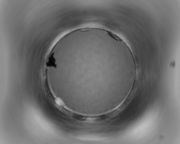 X0000093531438200710261241