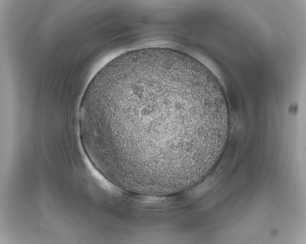 X0000093531439200710261241