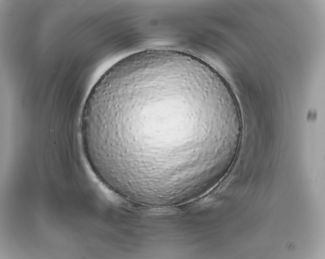 X0000093531440200710261241