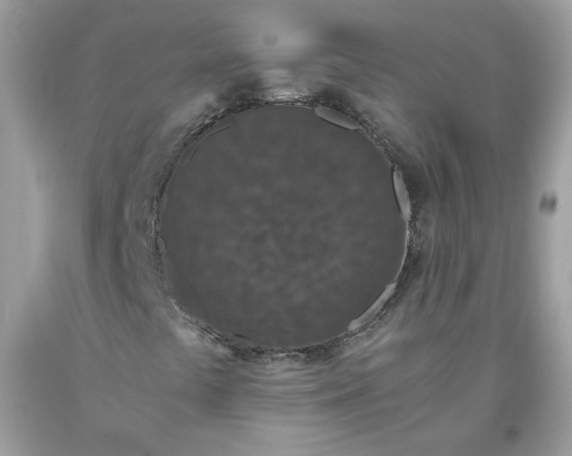 X0000093531441200710261241