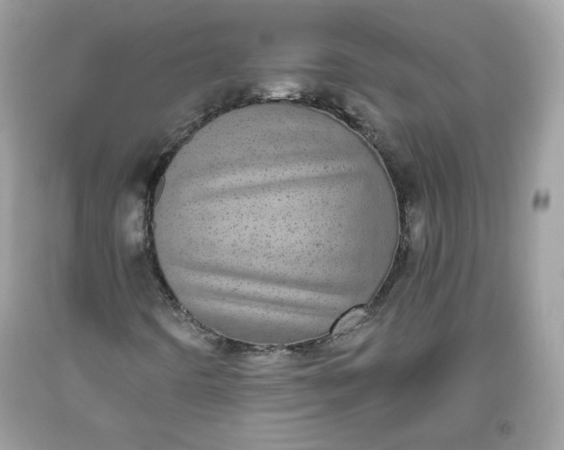 X0000093531442200710261241