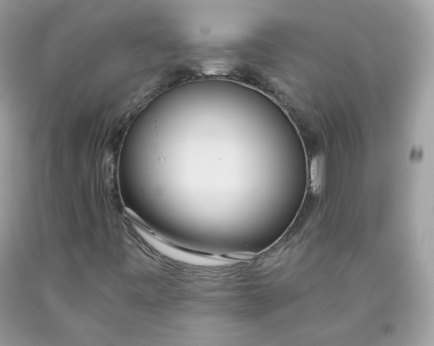 X0000093531443200710261241