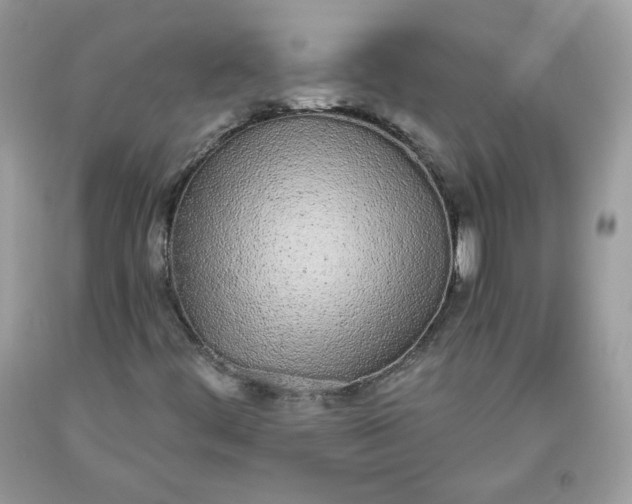 X0000093531444200710261241