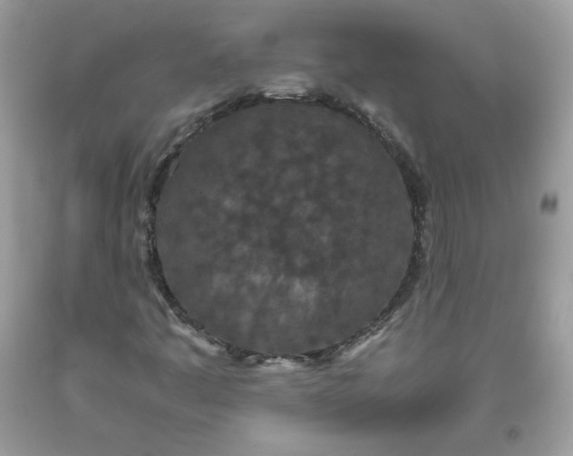 X0000093531445200710261241