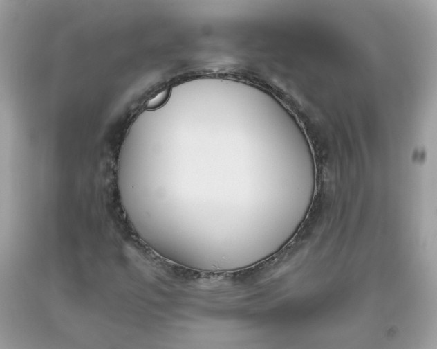 X0000093531447200710261241