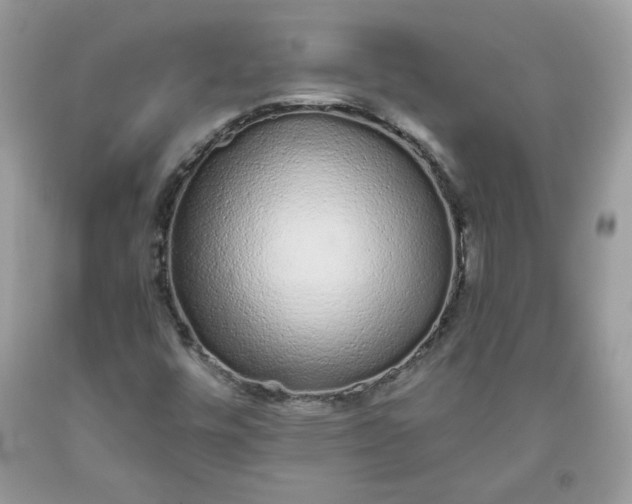 X0000093531448200710261241