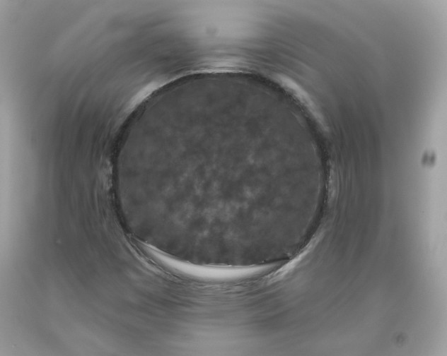 X0000093531449200710261241