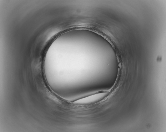 X0000093531450200710261241