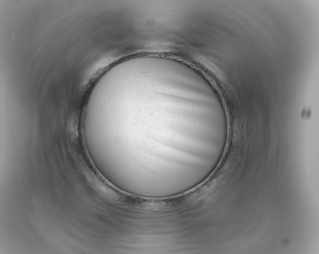 X0000093531451200710261241