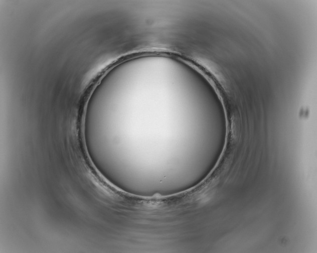 X0000093531452200710261241