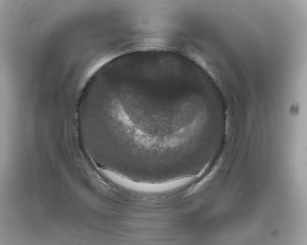 X0000093531453200710261241