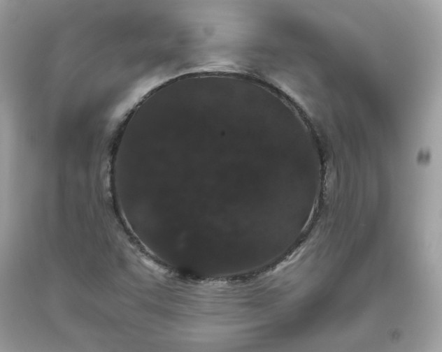 X0000093531455200710261241