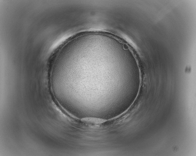 X0000093531456200710261241