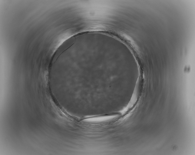 X0000093531457200710261241