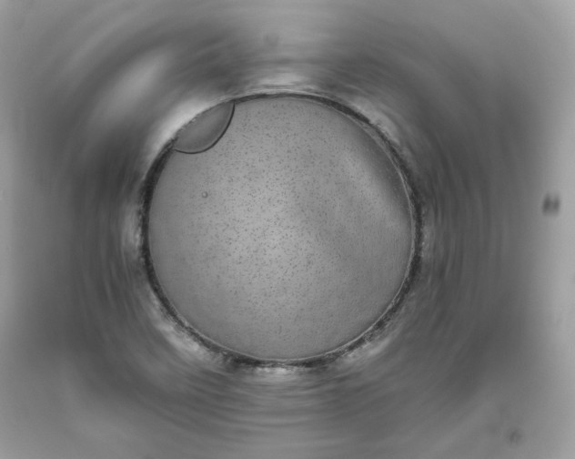 X0000093531458200710261241