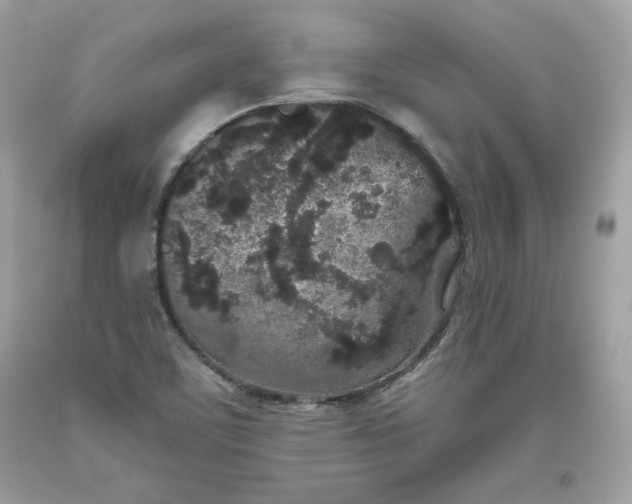 X0000093531459200710261241