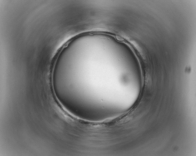 X0000093531460200710261241