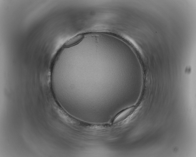 X0000093531461200710261241