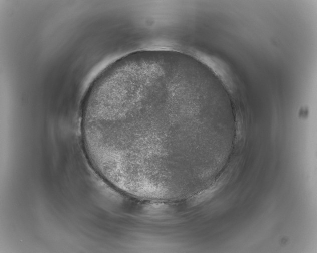 X0000093531462200710261241