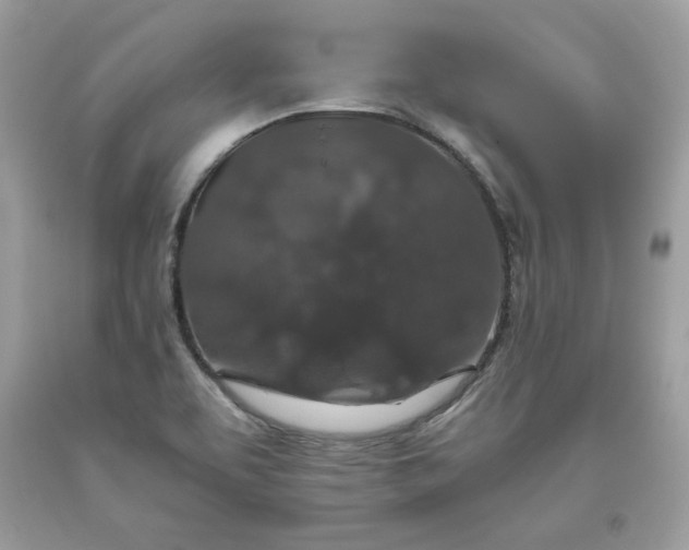 X0000093531463200710261241