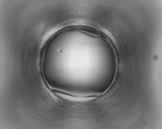 X0000093531464200710261240