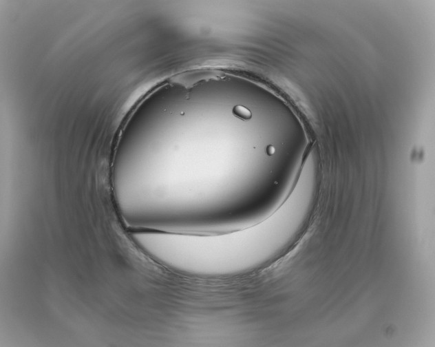 X0000093531465200710261240