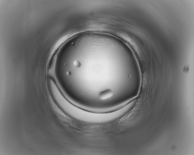 X0000093531467200710261240