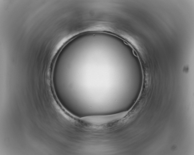 X0000093531468200710261240