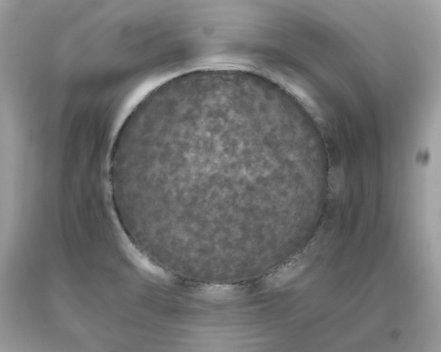 X0000093531470200710261240