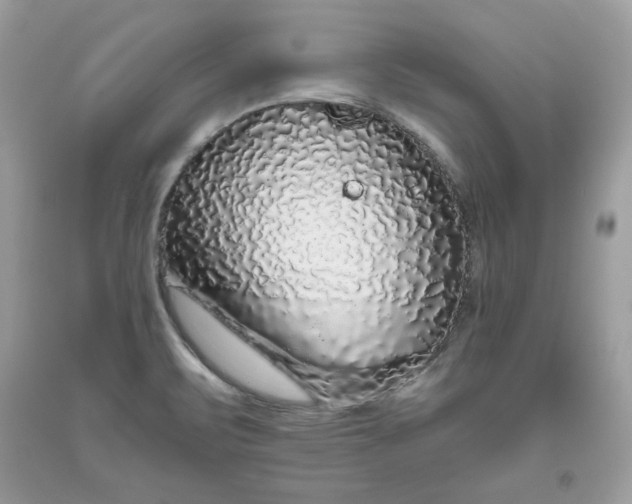 X0000093531471200710261240