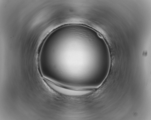 X0000093531472200710261240