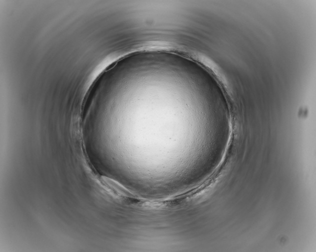 X0000093531473200710261240