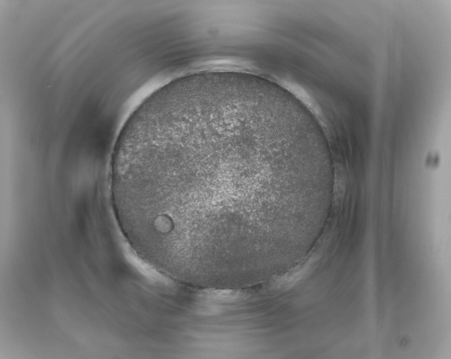 X0000093531474200710261240