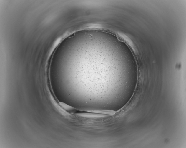 X0000093531475200710261240