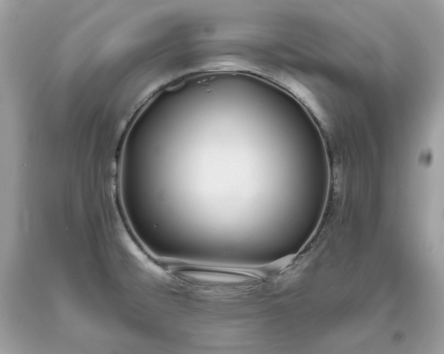 X0000093531476200710261240