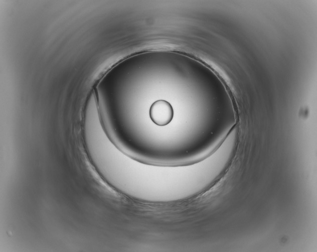 X0000093531477200710261240