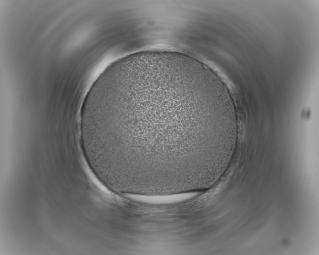 X0000093531479200710261240