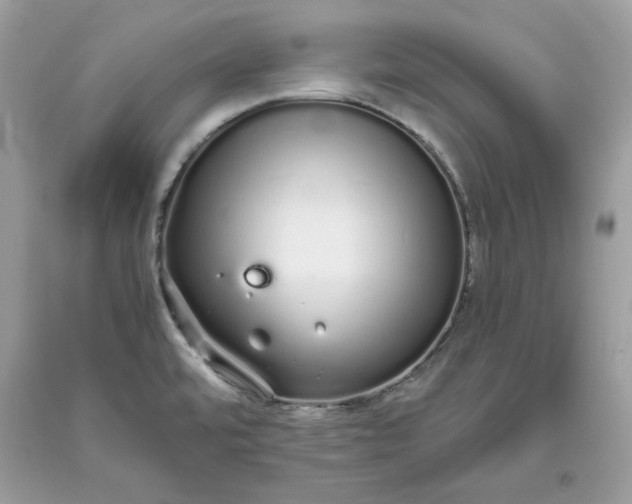 X0000093531480200710261240