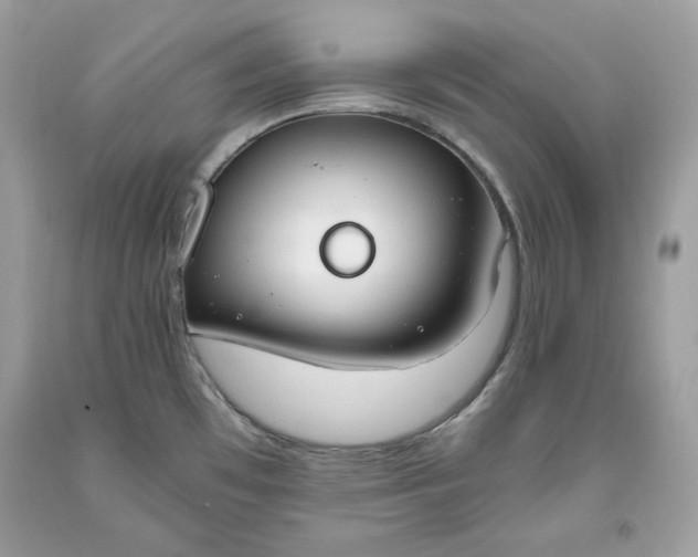 X0000093531481200710261240