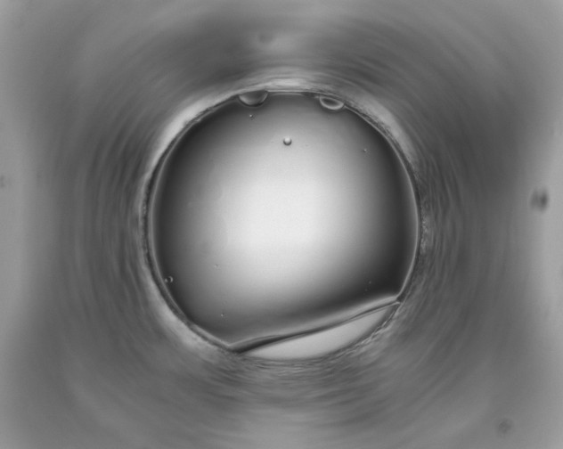 X0000093531483200710261240