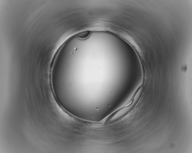 X0000093531484200710261240