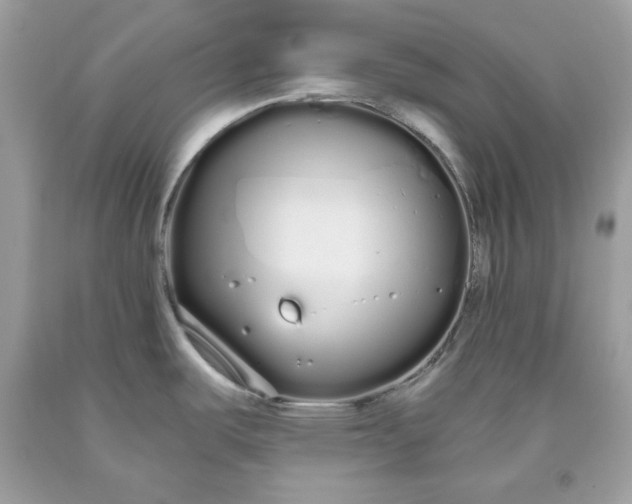 X0000093531487200710261240