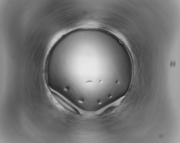 X0000093531488200710261240