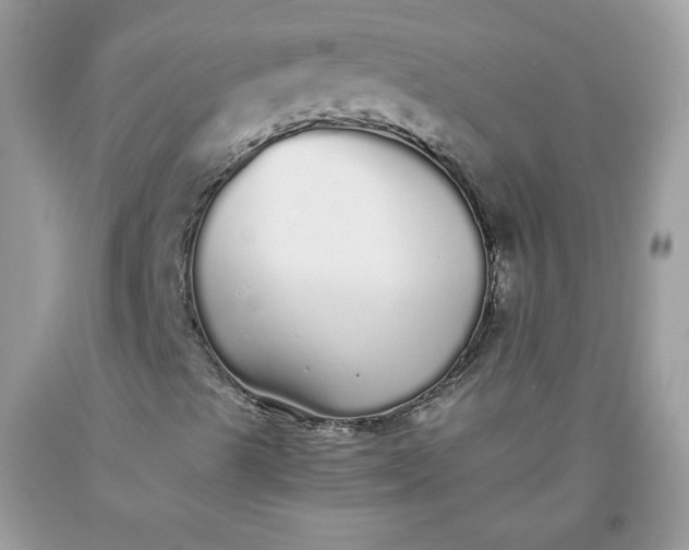 X0000093531489200710261239