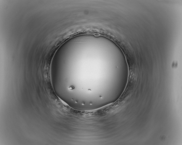 X0000093531490200710261239