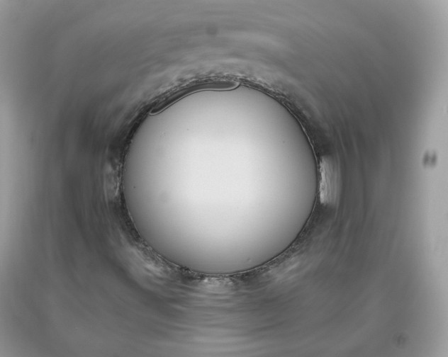 X0000093531491200710261239