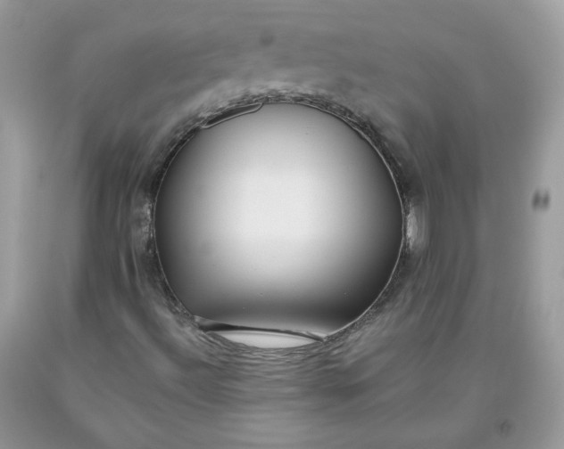 X0000093531492200710261239