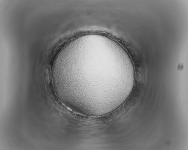 X0000093531493200710261239