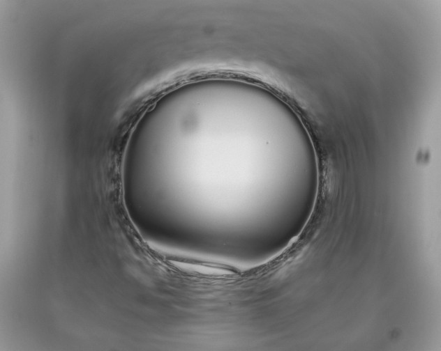 X0000093531494200710261239