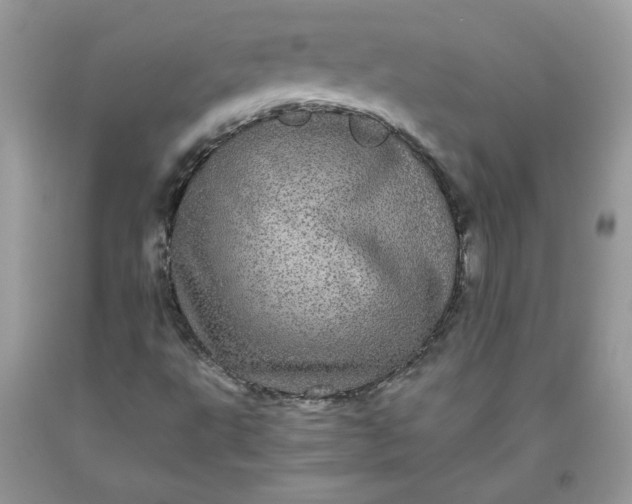 X0000093531495200710261239